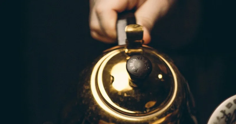 Страдающий шизофренией экибастузец избил жену чайником