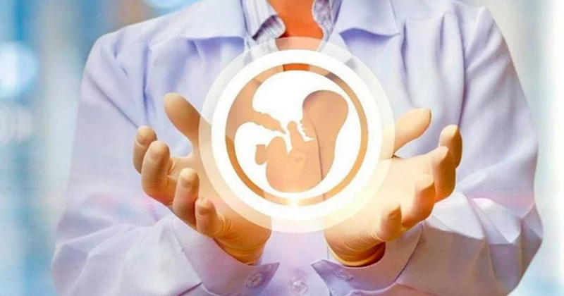 Қостанай облысында Аңсаған сәби бағдарламасына бөлінетін квота көлемі артты