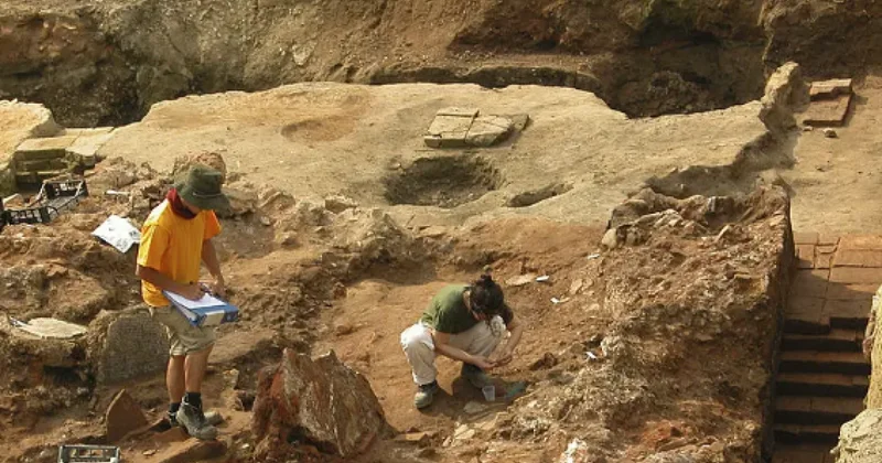 Палеонтологи обнаружили яйца динозавров возрастом 150 млн лет