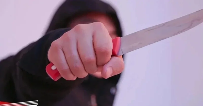 Семья убитой в Шымкенте девушки не согласна с приговором несовершеннолетнему