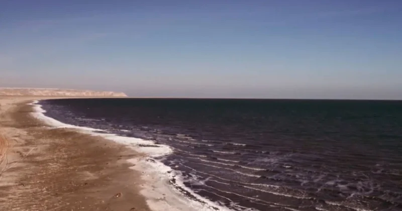 Арал теңізінің экожүйесі жақсарып келеді