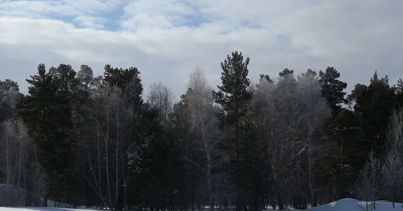 Усилена охрана лесов и животного мира