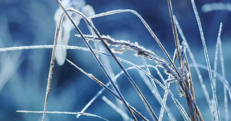 Метель и гололед ожидаются в Казахстане