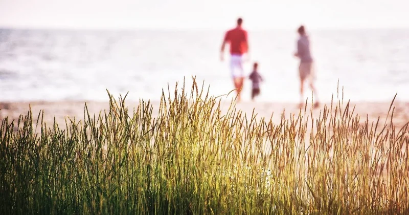 Отменят ежегодный отпуск? Минтруда РК ответило на слухи