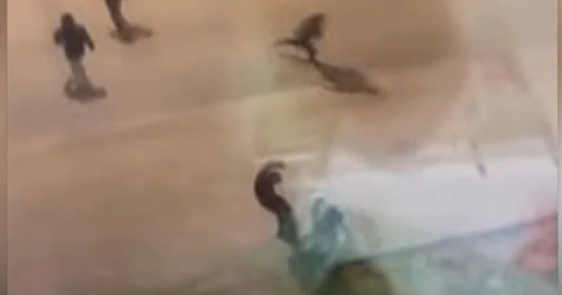 Избиение школьника попало на видео в Кызылорде