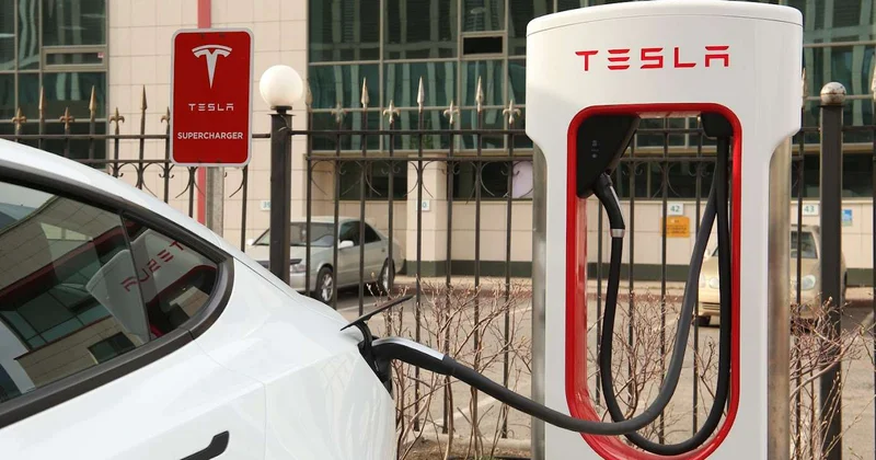 Tesla обязали выплатить почти $250 млн семье погибшей в ДТП женщины