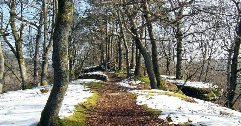 Март в Алматы будет тёплым, но капризным