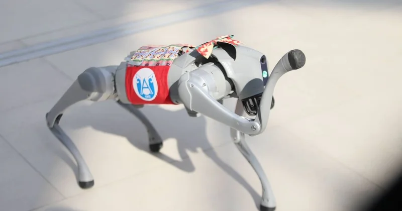 В ВКО представили новые цифровые достижения на Digital Nauryz