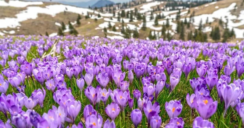 Погода порадует жителей Алматы теплом и солнцем
