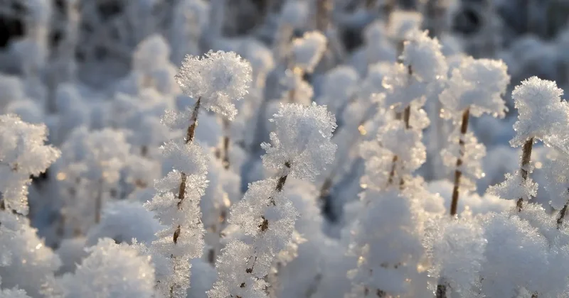 Штормовое предупреждение объявили в Астане и 13 областях на 22 марта