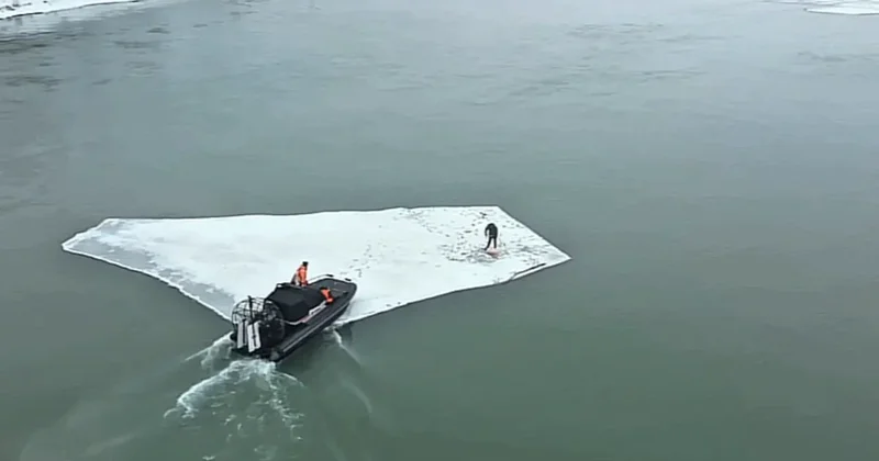 Спасатели обратились к казахстанцам в дни празднования Наурыза