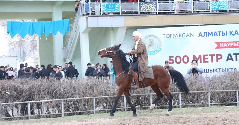 Тізгінді тісімен ұстады: Алматыда шабандоз әлемдік рекорд орнатты
