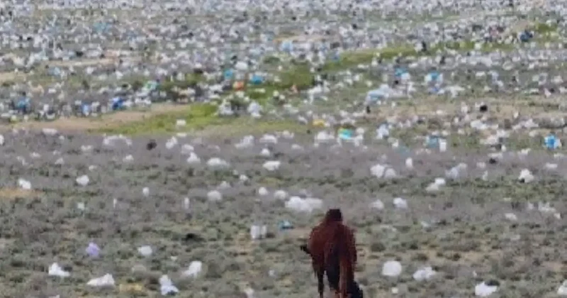 Пожалуйста, скажите, что это ИИ . Видео с разбросанным мусором в степи Мангистау прокомментировали чиновники