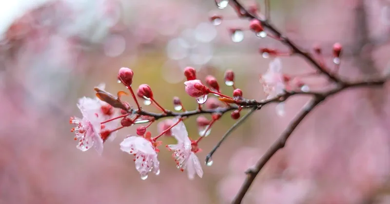 Прогноз погоды на 22 апреля: в Астане и 10 областях Казахстана объявили штормовое предупреждение