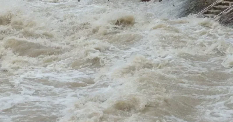 В ЗКО паводок смыл переправу