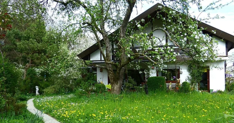 Сколько придется ждать бесплатный участок земли в Казахстане