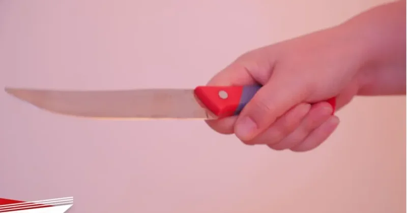 В Астане семилетний ребенок с ножом пугал прохожих: родители наказаны