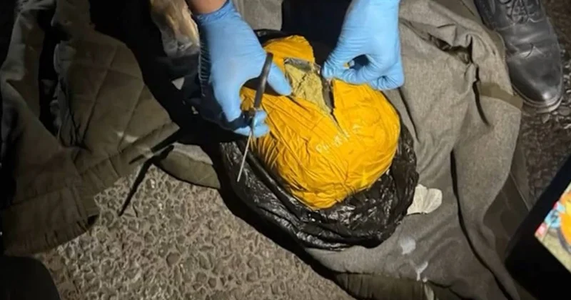 20 мыңнан аса доза: Жамбыл облысында ірі есірткі тасымалы арнасы тоқтатылды