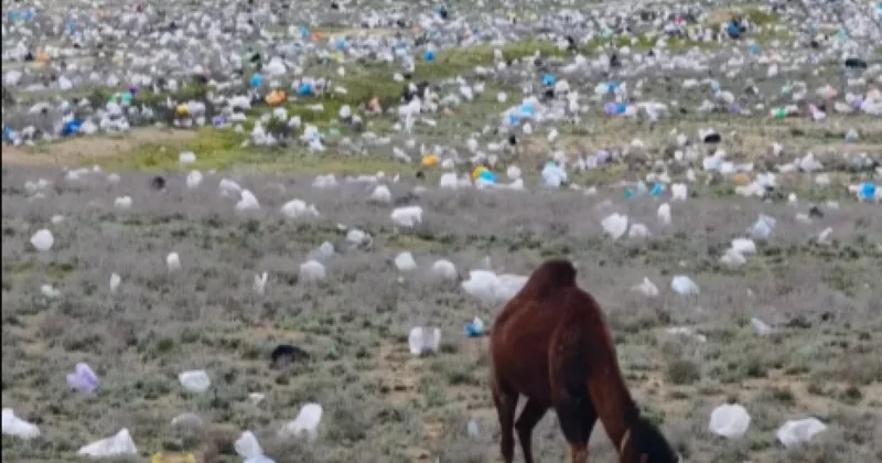 Настоящая свалка: во что превратилась степь под Актау, показал экоактивист