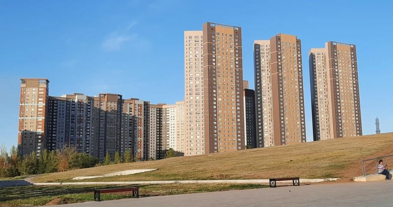 Полиция Астанадағы қару жарақ арсеналы бар шетелдіктер туралы жазбаға жауап берді