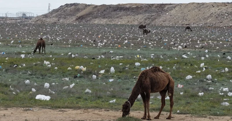 Маңғыстауда далаға шашылған қоқыс: әкімдік себебін түсіндірді