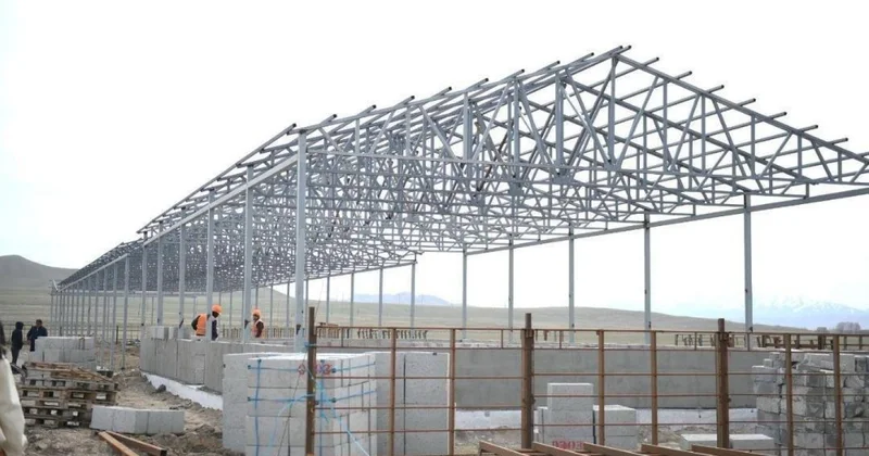 От овцы до товара: новый завод начали строить в Алматинской области