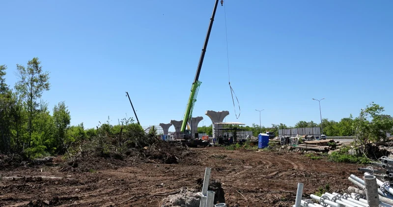 Қосшы бағытындағы LRT құрылысы аумағында құлаған ағаштар байқалды: не болып жатыр?