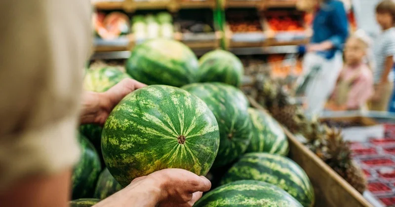 Безопасны ли арбузы и дыни, которые уже продают в Алматы