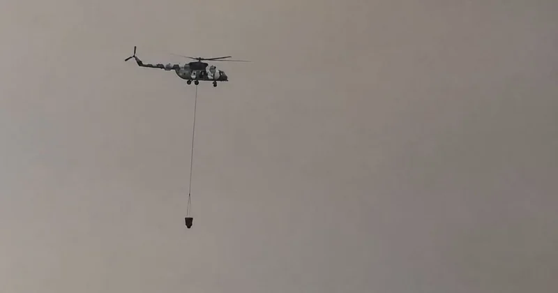 В МЧС показали кадры тушения пожара в области Жетicу