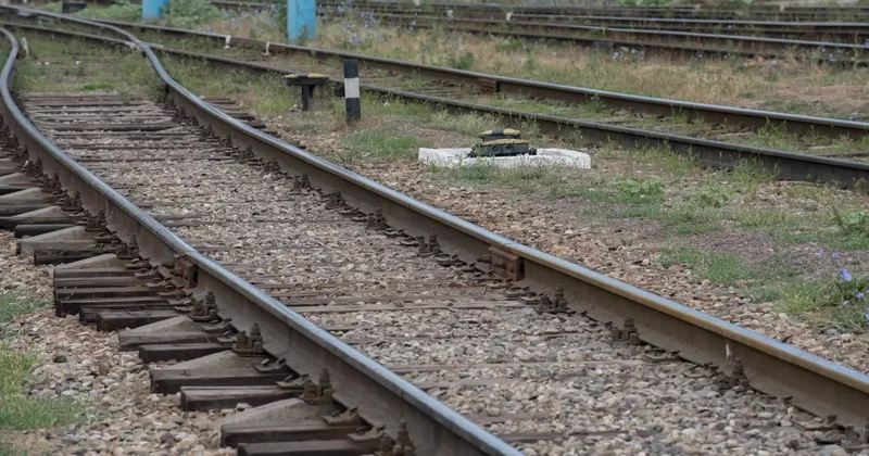 Машинист далада жалғыз жүрген төрт жасар баланы пойызға мінгізіп алды