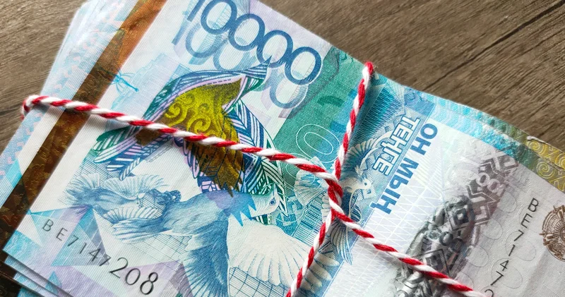 Қазақстанда 300 млн теңге жеңілдетілген несие ұрланды