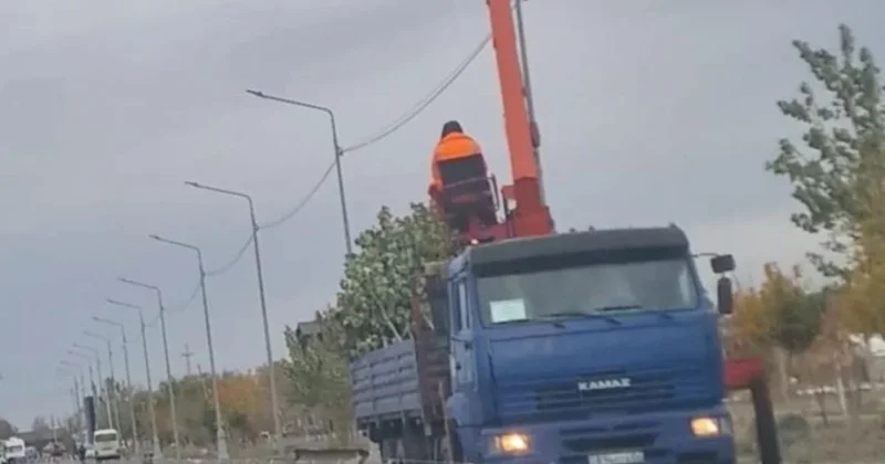 Атырауда әуежайға барар жол бойындағы ағаштар жаңа мекенге көшірілуде