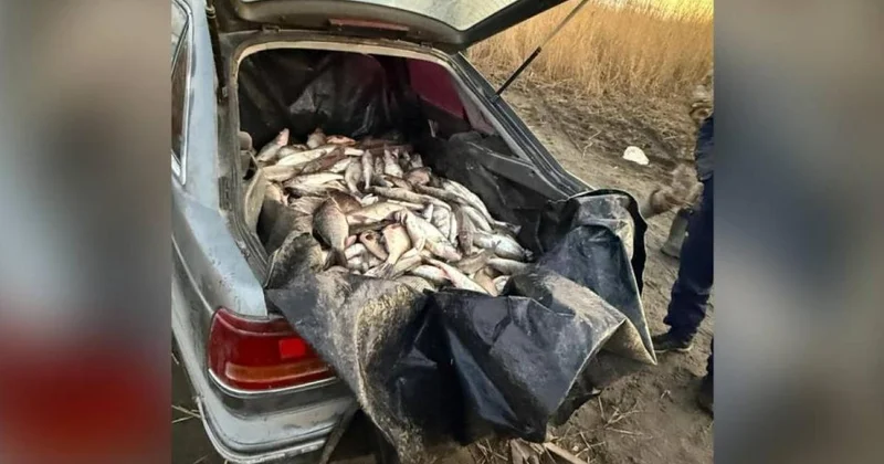 Улов шестерых рыбаков потянул на 8 млн тенге и привел к уголовным делам в ВКО