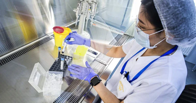 Олимп , INVIVO сияқты компаниялардың порталдары мемлекеттік ақпарат жүйесімен интеграцияланады