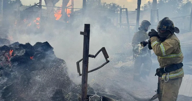 Кто чаще всего погибает в пожарах в Казахстане, рассказали в правительстве