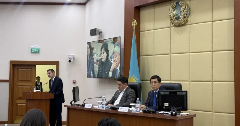 Аймагамбетов раскритиковал доклад Минздрава в Мажилисе