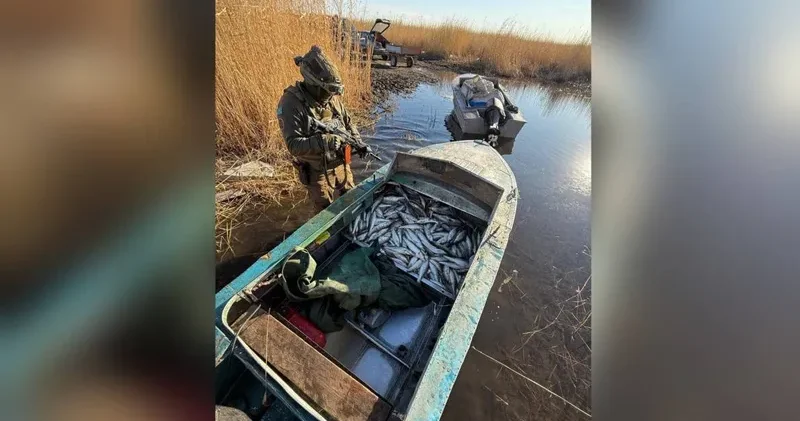 ШҚО да браконьерлерден жарты тонна балық тәркіленді