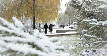 Дождь со снегом ожидаются на севере и востоке Казахстана