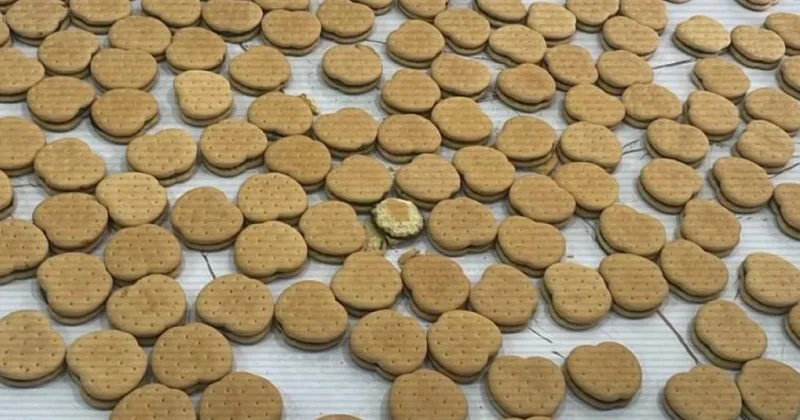 Астанада полиция мен МКҚ арнайы операция жүргізді, печенье тәркіленді