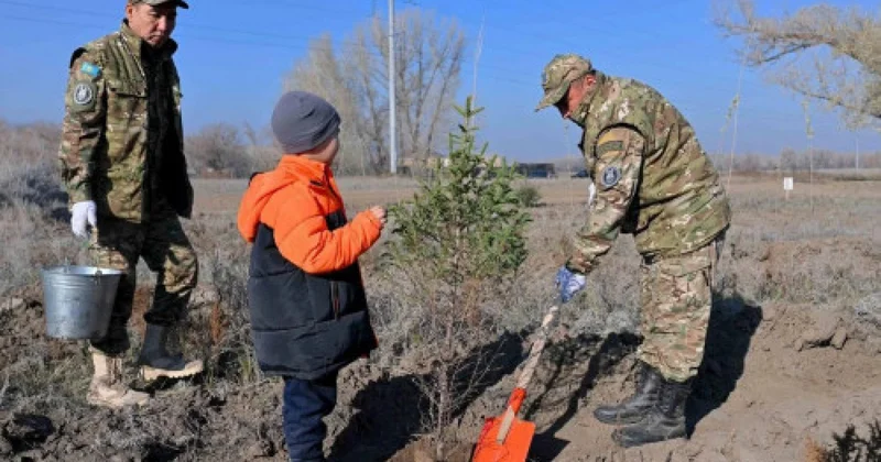 Бір жылда 2 млн нан астам көшет отырғызылды : Экологтар Абай облысындағы ахуалды түсіндірді