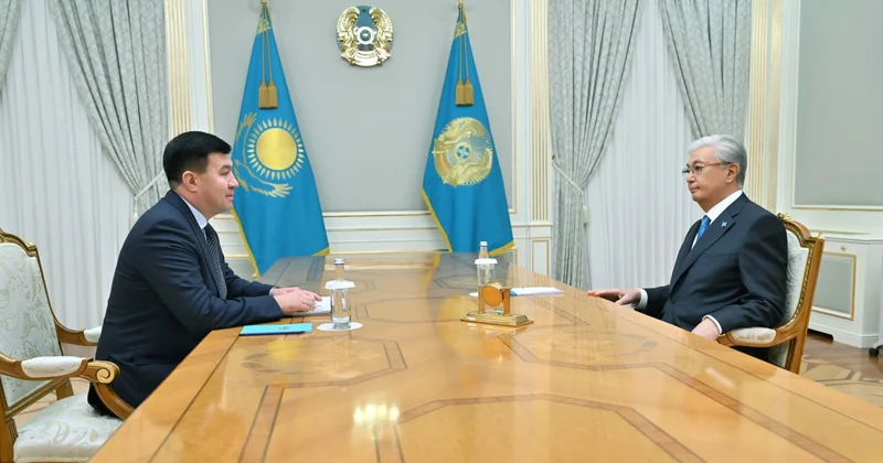 Глава государства принял бенефициарного собственника Integra Construction KZ