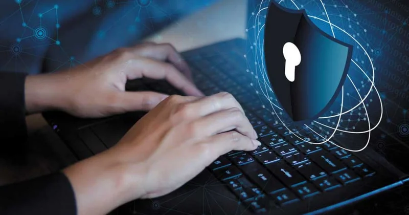 Киберқадағалау күшейе түсті