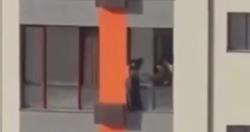 Шымкентте биіктен секірмек болған қызды куәгерлер құтқарып қалды: видео