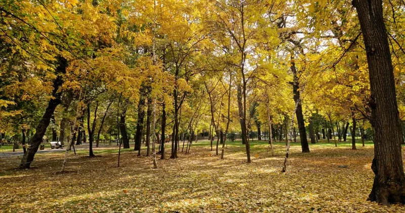 Синоптиктердің болжамы: Қазақстанның ірі қалаларында алдағы күндері жел мен тұман болады