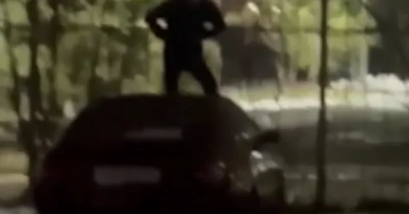 Астанчанин прыгал на чужом автомобиле (ВИДЕО)