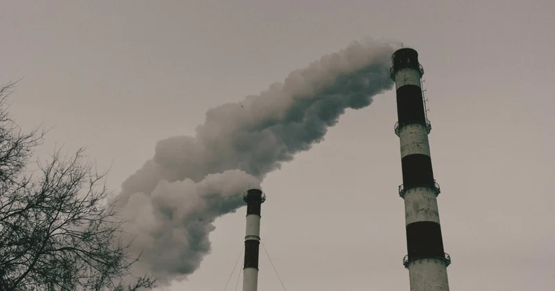 Павлодар өңірінде экологиялық заңнама талаптарын бұзудың 77 дерегі анықталды