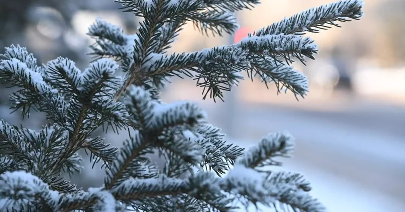 Астанада күн күрт суытады: ТЖД ескерту жасады