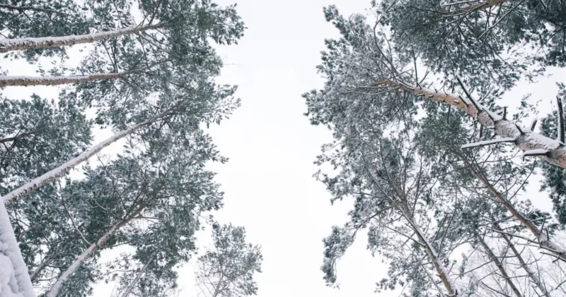 Аяз бен қар: жексенбіде ауа райы қандай болады?