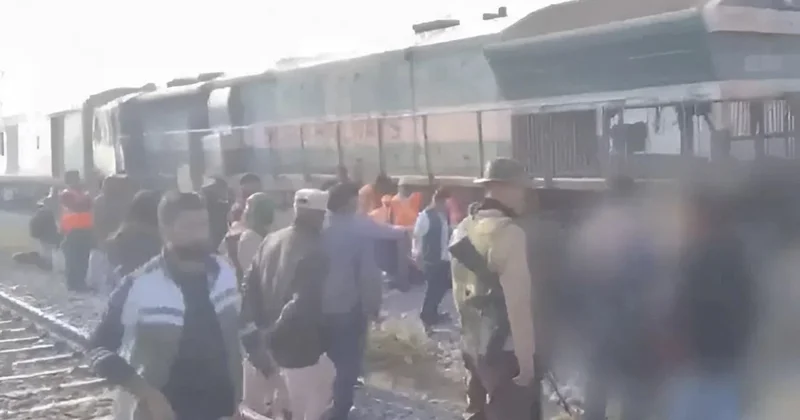 Поезд в Индии протаранил стадо слонов