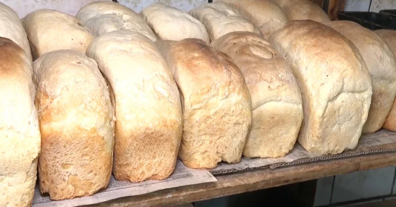 Ұлытауда жас кәсіпкерлерді қолдау артты